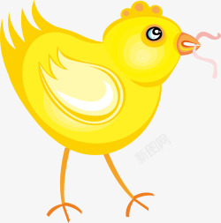 小鸡叼虫黄色卡通小鸡高清图片