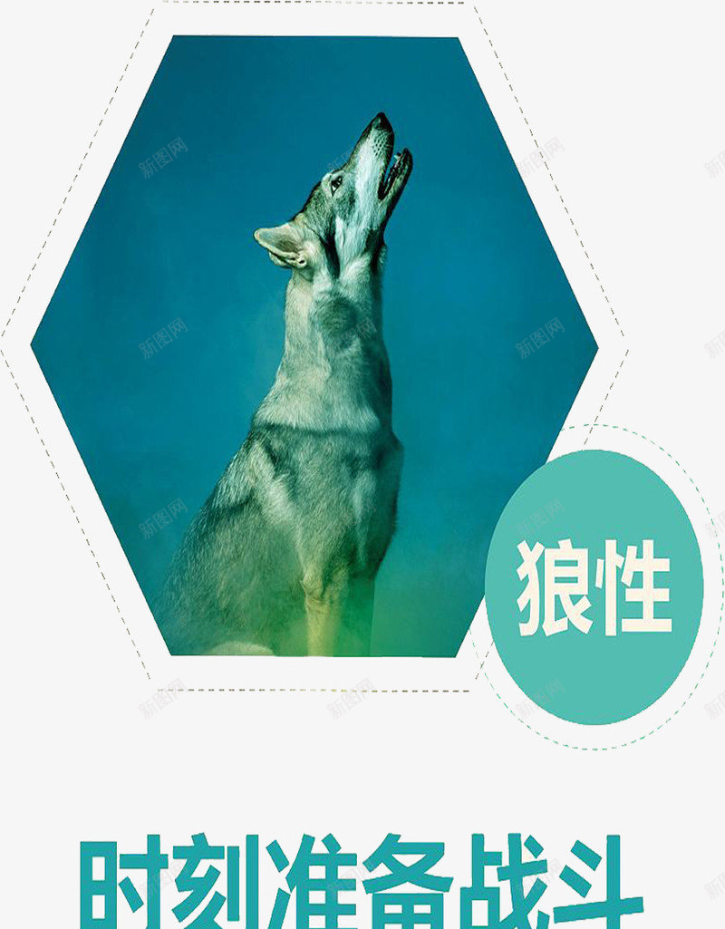狼性激励标语png免抠素材_新图网 https://ixintu.com 头狼 激励 激励标语 狼性 狼性标语