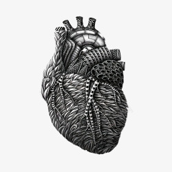 黑白心脏心脏黑白装饰画高清图片