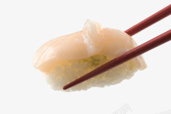 寿司刺身素材
