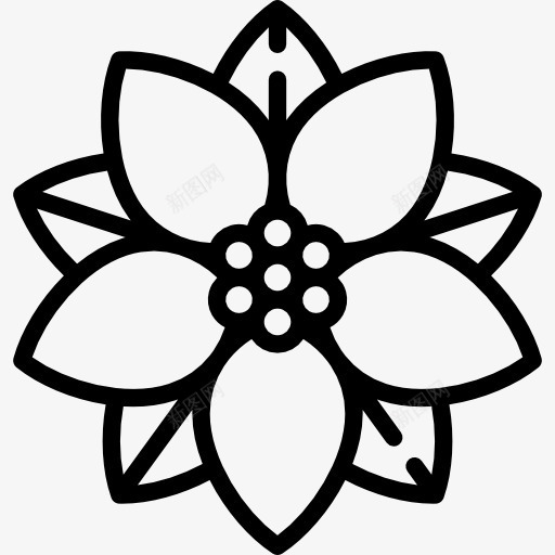 poinsenttia图标png_新图网 https://ixintu.com Euphorbiapulcherrima 冬季花园 圣诞花 自然