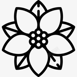 冬季花园poinsenttia图标高清图片