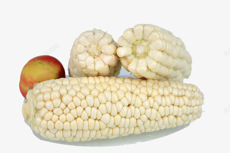 天然白色玉米棒子png免抠素材_新图网 https://ixintu.com 农家玉米 天然白色玉米棒子 玉米 玉米棒 玉米棒子 白玉米 白色玉米
