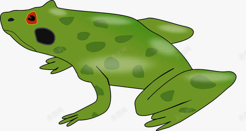 生态自然青蛙png免抠素材_新图网 https://ixintu.com 两栖类 卡通 自然 青蛙