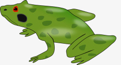 生态自然青蛙素材