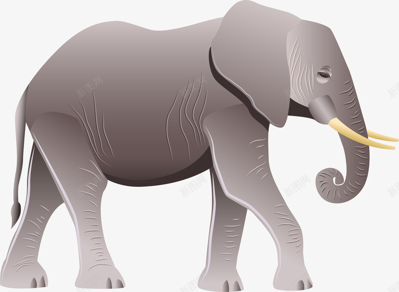 大象矢量图eps免抠素材_新图网 https://ixintu.com 3D逼真大象 矢量图