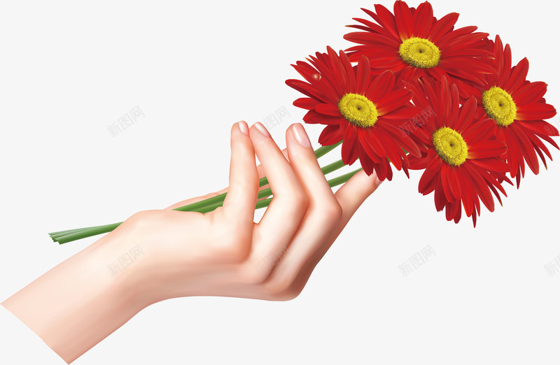 手拿花朵矢量图ai免抠素材_新图网 https://ixintu.com 写实 手 手拿花朵 红色的花 矢量图