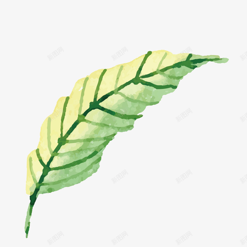 一片树叶图标png_新图网 https://ixintu.com 图标 平面 弧度 弯曲 枝干 树叶 植物 纹理