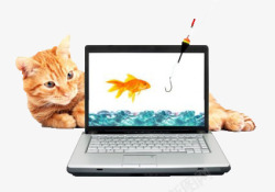 猫抓鱼边框在电脑屏幕里抓鱼的猫高清图片