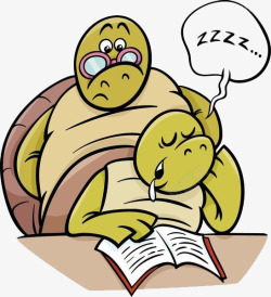 学习中睡觉的乌龟素材