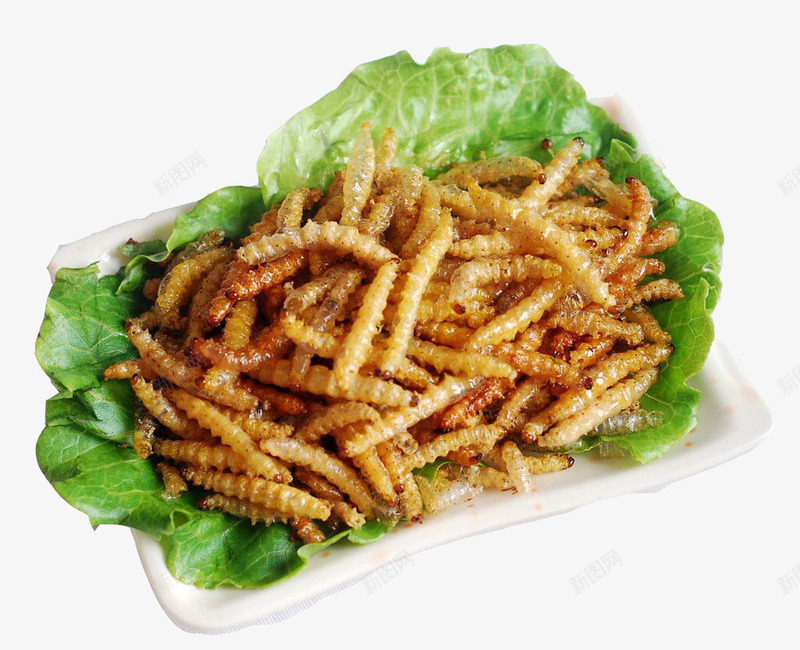 油炸竹虫png免抠素材_新图网 https://ixintu.com 中国菜 产品实物 油炸 特色美食