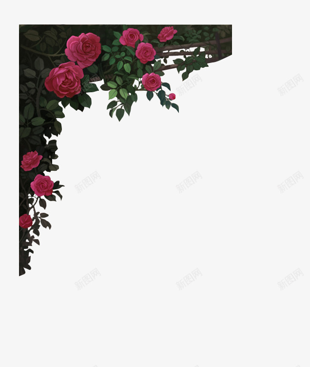 神秘酒红色玫瑰边框png免抠素材_新图网 https://ixintu.com 玫瑰 玫瑰边框 花朵 酒红色玫瑰
