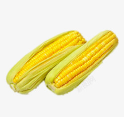 生态玉米素材