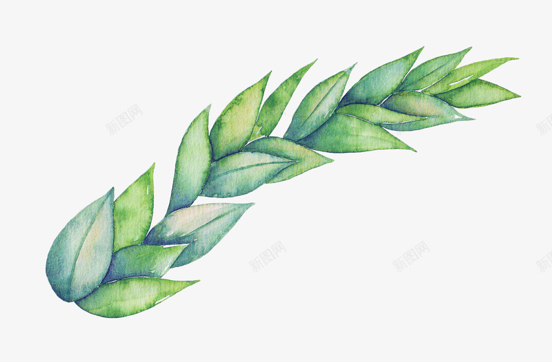 绿色的麦穗png免抠素材_新图网 https://ixintu.com PNG素材 植物 绿色 麦穗
