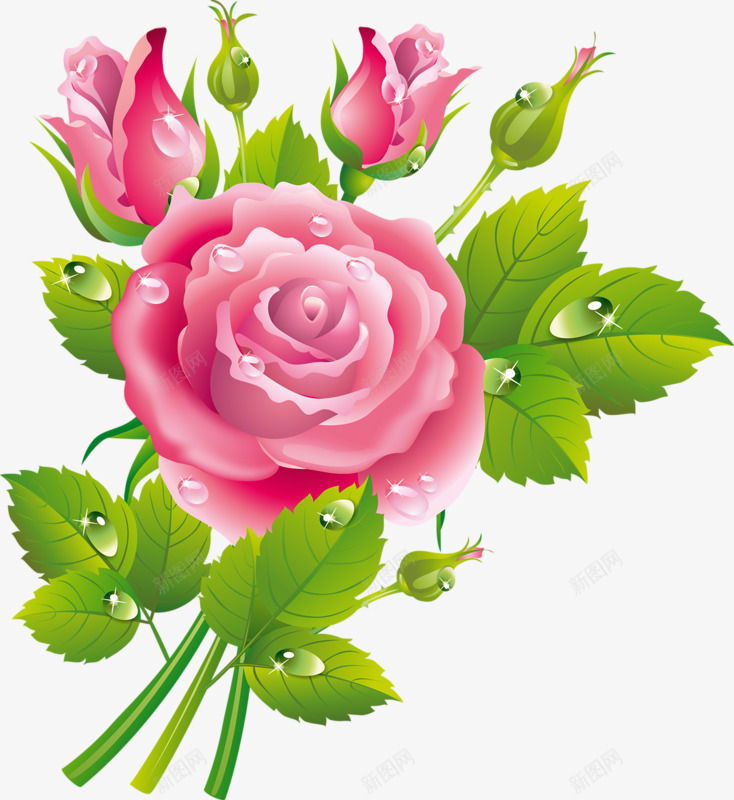 带露珠的玫瑰png免抠素材_新图网 https://ixintu.com 植物 绿叶 花瓣 鲜花