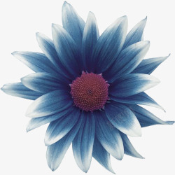 深蓝色花朵装饰素材