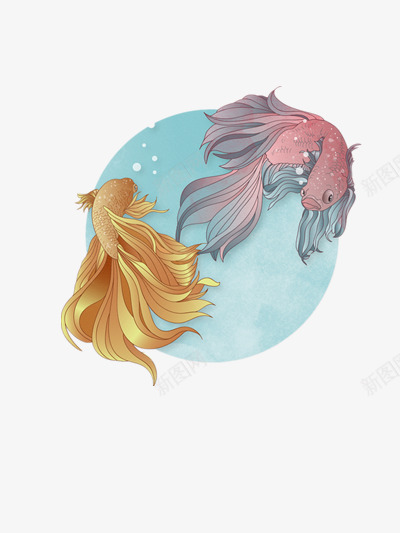 两只美人鱼png免抠素材_新图网 https://ixintu.com 动物 海洋 生态 蓝色