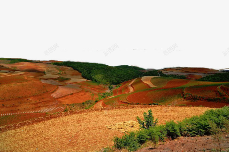 云南东川红土地风景png免抠素材_新图网 https://ixintu.com 云南 旅游 景点 特色 风景