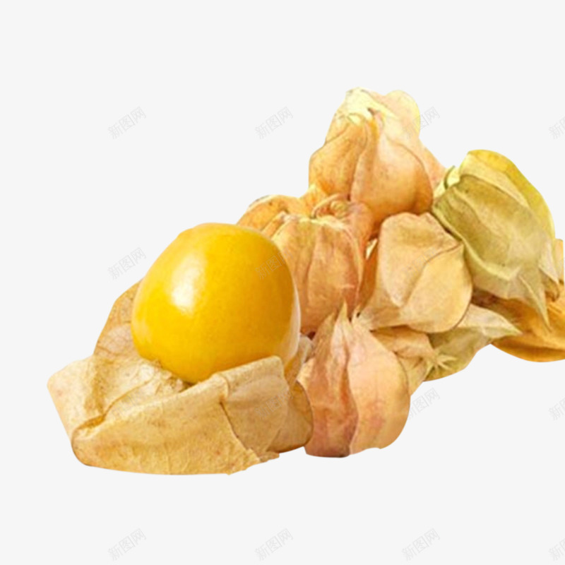 好吃菇娘果png免抠素材_新图网 https://ixintu.com 多汁 多籽 水果素材 黄色水果