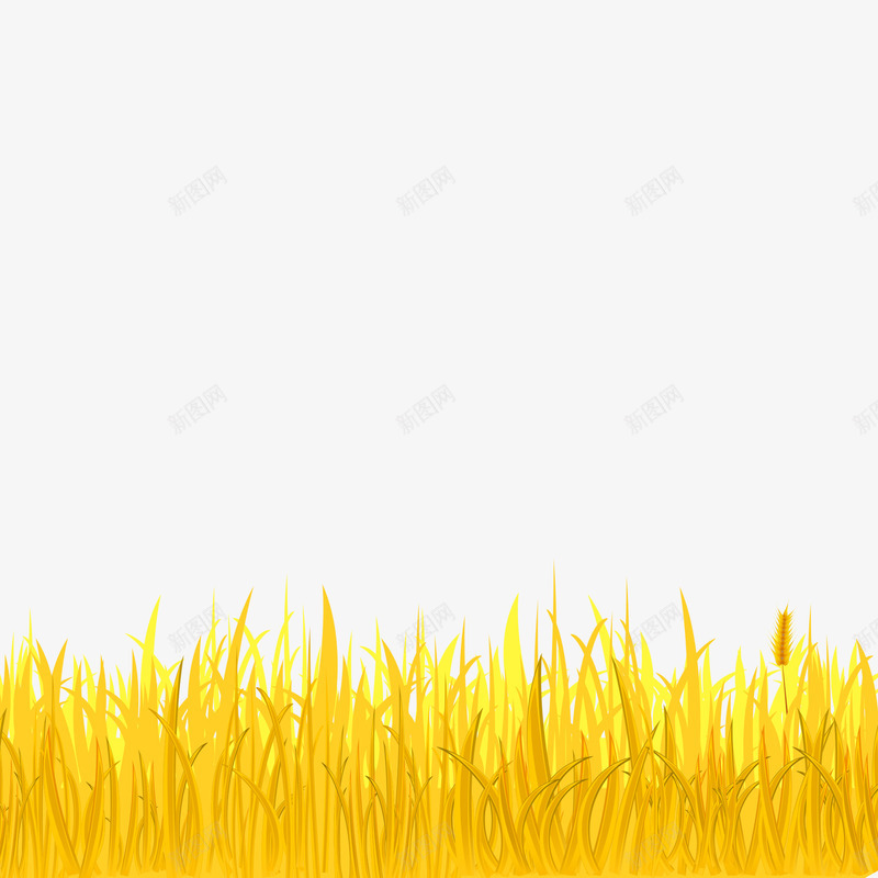 金色的麦穗和麦田png免抠素材_新图网 https://ixintu.com 农作物 农场 麦田 麦穗