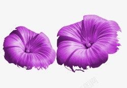 蓝紫色的铃铛花紫色高清图片