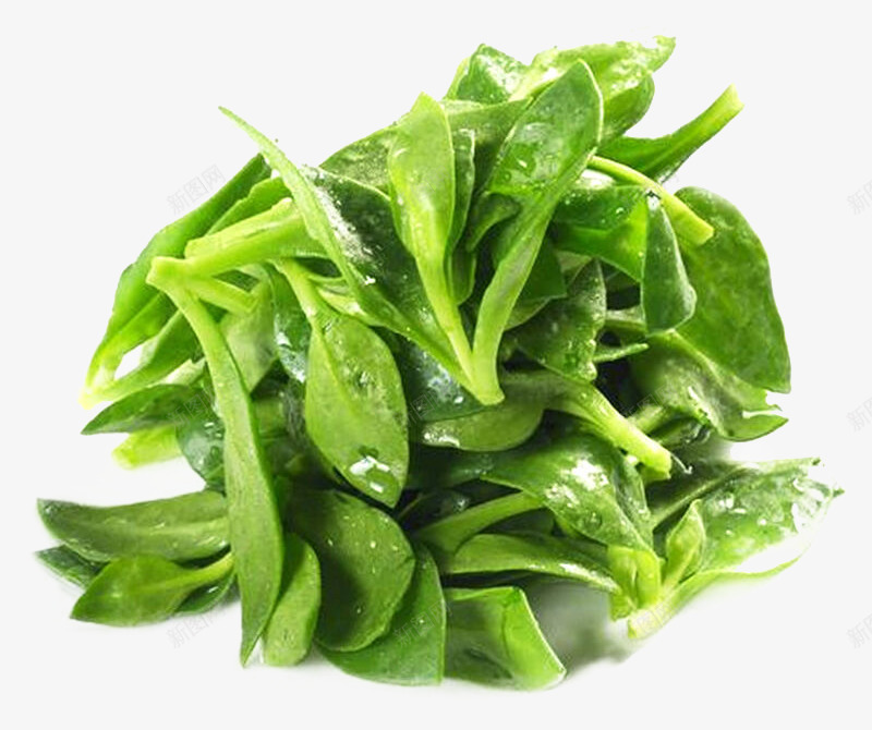 有机蔬菜png免抠素材_新图网 https://ixintu.com 产品实物 健康 有机 活力 绿色 蔬菜