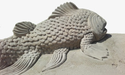 鲤鱼创意沙雕素材
