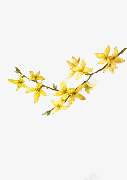 黄色花朵边角装饰素材