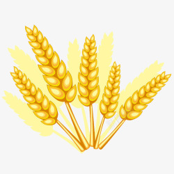 收获的季节素材