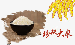 珍珠大米素材