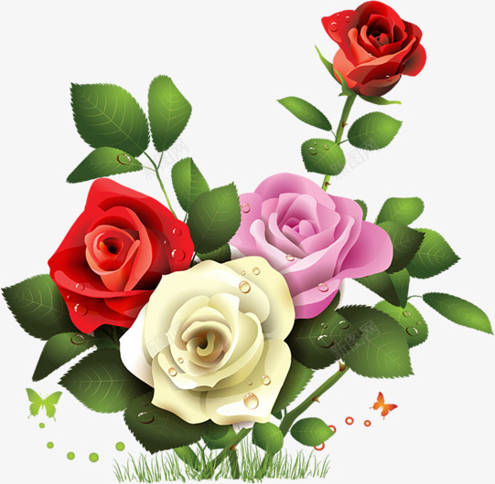 彩色露珠玫瑰七夕情人节png免抠素材_新图网 https://ixintu.com 七夕 彩色 情人节 玫瑰 露珠
