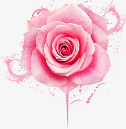 粉色唯美盛开花朵素材