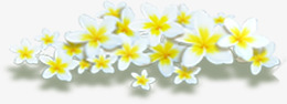 白色唯美纯洁花朵春天png免抠素材_新图网 https://ixintu.com 春天 白色 纯洁 花朵