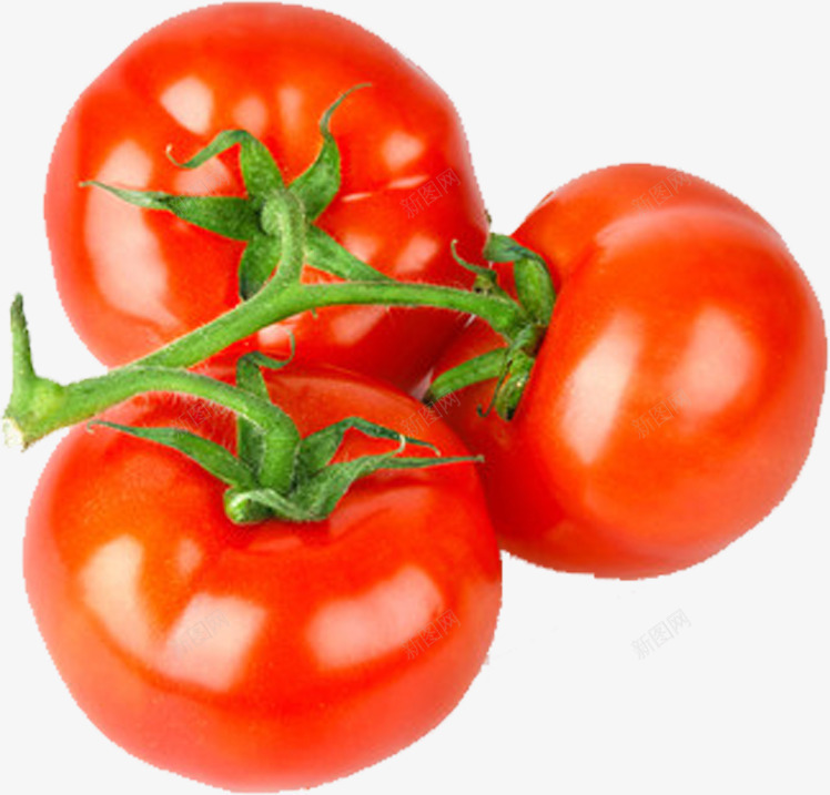 蔬菜png免抠素材_新图网 https://ixintu.com 天然 绿色食品 菜系 蔬菜 西红柿