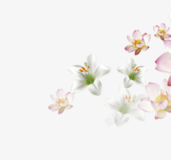 代表纯洁的花朵花朵元素高清图片