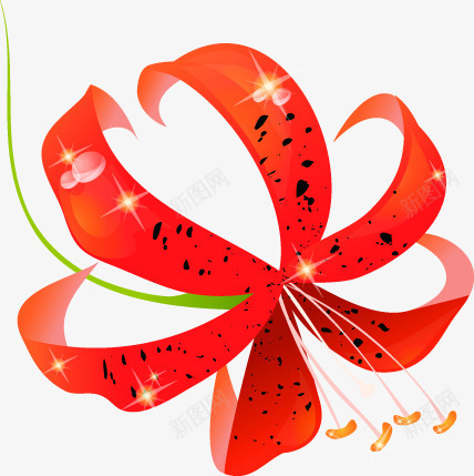 红色鲜花盛开花朵png免抠素材_新图网 https://ixintu.com 盛开 红色 花朵 鲜花