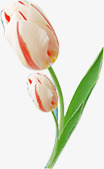 开学季粉白色花朵绿叶png免抠素材_新图网 https://ixintu.com 开学 粉白色 绿叶 花朵