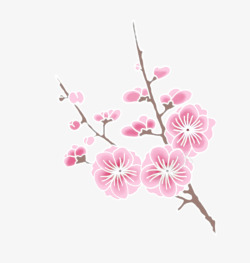 粉色盛开的梅花素材