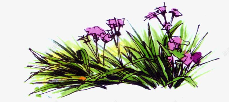 绘画紫色花卉花园png免抠素材_新图网 https://ixintu.com 素材 紫色 绘画 花卉 花园