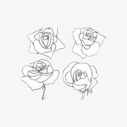 四朵白玫瑰素材