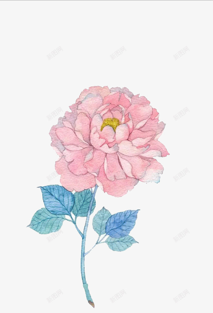 手绘盛开的粉色花朵png免抠素材_新图网 https://ixintu.com 手绘 插画 盛开的花朵 粉色