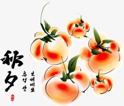 韩国风格手绘水果素材