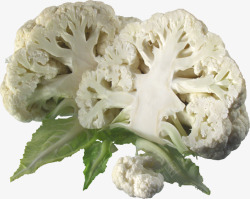 天然蔬菜菜花白色植物素材