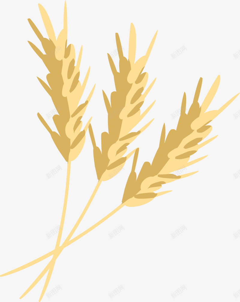 手绘麦穗png免抠素材_新图网 https://ixintu.com 手绘画 矢量装饰 粮食 装饰 麦穗