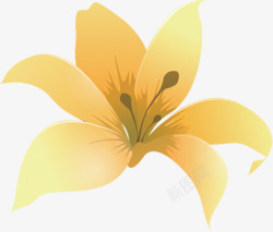 黄色梦幻花朵盛开素材