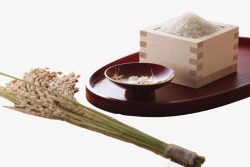 麦穗米饭大米简约养生托盘与麦穗高清图片