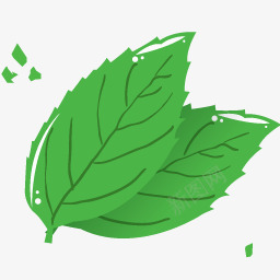 薄荷叶子图标png_新图网 https://ixintu.com leaf mint 叶 薄荷