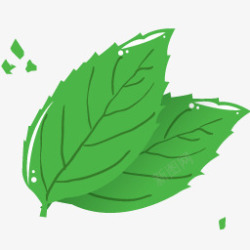 leaf薄荷叶子图标高清图片