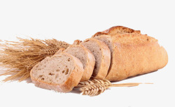 干面包麦子素材