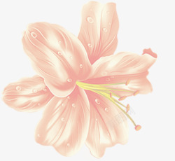 带露珠的花花高清图片